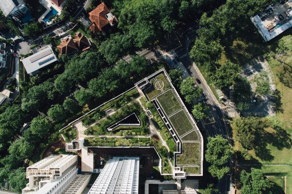 Trend in de tuin: het sedum dak als duurzaam dakalternatief